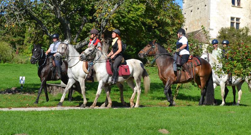 randonnee cheval perche