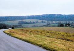 Les hauteurs boisées autour de Béthonvilliers et Saint-Bomer