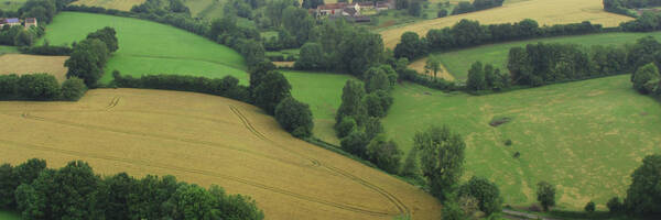 <h3>Le Perche : territoire de haies et de projets</h3>
