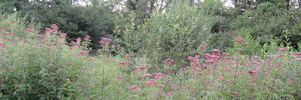 <h3>Deux nouveaux contrats Natura 2000 pour le Perche</h3>