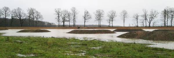 Découvrez les sites Natura 2000 du Perche