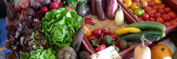 <h3>Le Projet alimentaire de territoire du Perche officiellement reconnu !</h3>
