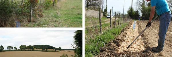 <h3>Appel à projets : plantations de haies</h3>