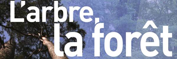 <h3>L'arbre, la forêt : nouvelle expo à la Maison du Parc</h3>