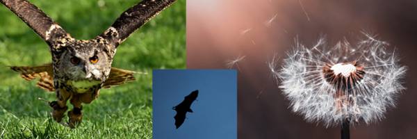 <h3>Jeudi 13 août à la Maison du Parc</h3>