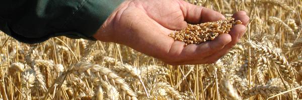 <h3>Une nouvelle étape pour le Projet Alimentaire de Territoire du Perche !</h3>