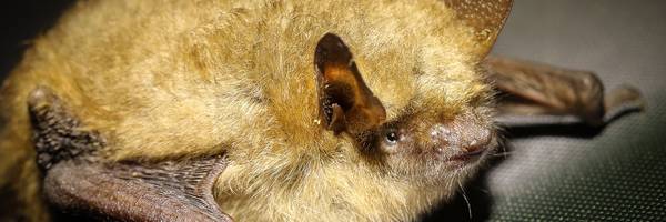 <h3>Jeudi 20 août à Saint-Maurice-Saint-Germain</h3>