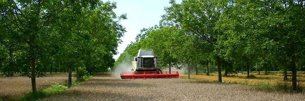<h3>L’agroforesterie moderne au programme des formations du Parc</h3>