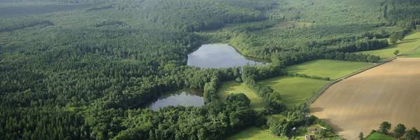 <h3>La Réserve naturelle régionale de Bresolettes : une pépite pour le territoire</h3>