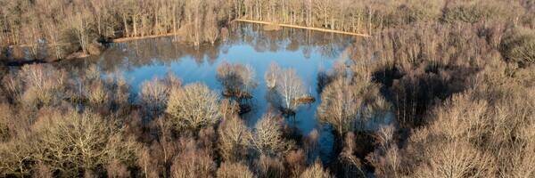 <h3>Onzième étang restauré avec Natura 2000</h3>