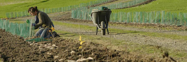 Plantations de haies : au tour de l'Eure-et-Loir