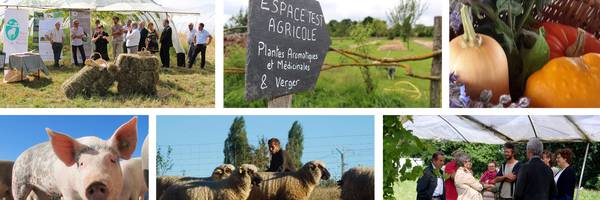 L'espace-test agricole fait pousser les projets !
