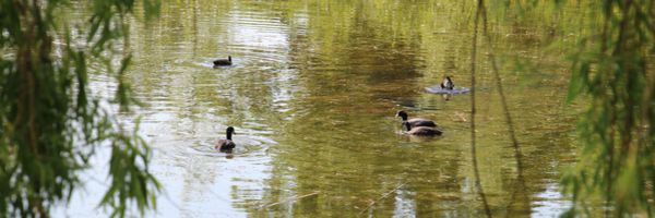 Nouveau à la Maison du Parc : le sentier de l'eau