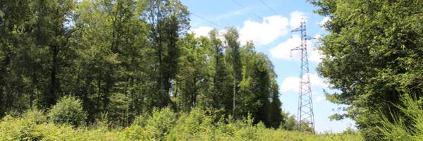 <h3>RTE-Parc : un partenariat au service de la biodiversité</h3>