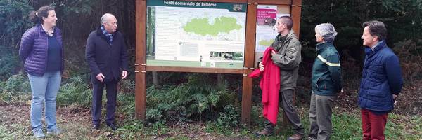 L&#039;ONF et le Parc font pousser la forêt de demain