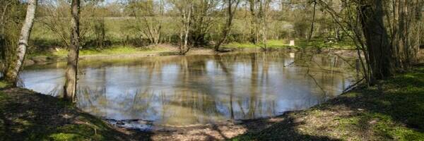 <h3>Les mares : le Parc source de conseils</h3>