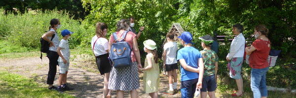 <h3>Le programme de l'été du Parc</h3>