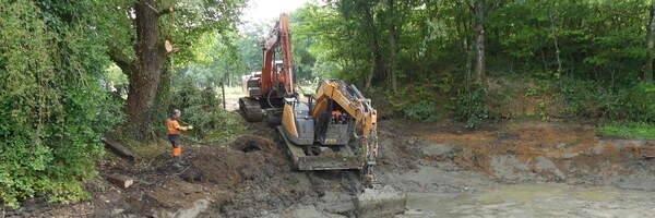 <h3>Une dizaine de mares restaurées en 2025 !</h3>