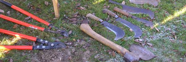 Entretenir une haie champêtre, jeudi 13 février
