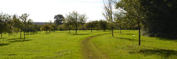 <h3>Mardi 4 août à Miermaigne</h3>