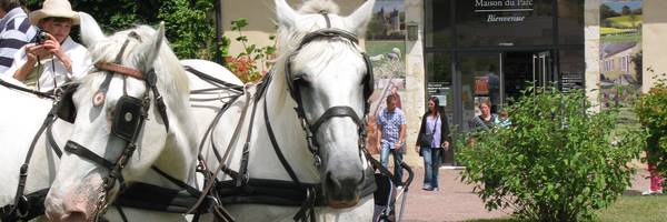 <h3>Dimanche 9 août à la Maison du Parc</h3>