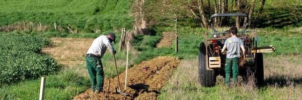 <h3>Plantation de haies : 12 km au printemps et 15 pour cet hiver !</h3>