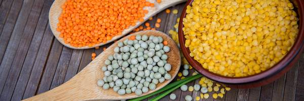 <h3>Légumineuses : le Parc naturel régional du Perche a besoin de vous !</h3>