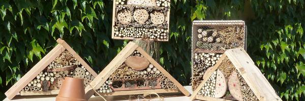 Atelier en famille : construction de refuges pour les insectes