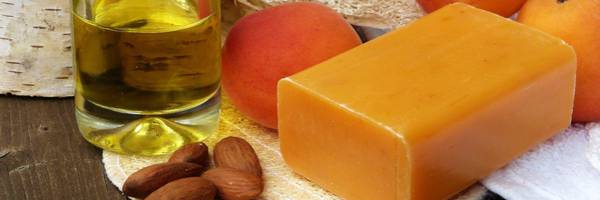 <h3>Mercredi 19 août à la Maison du Parc</h3>