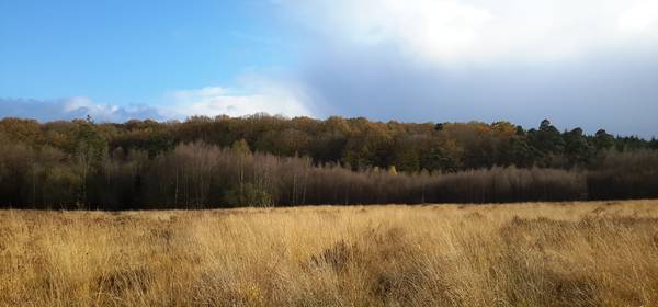 Lettre info Parc - janvier 2018