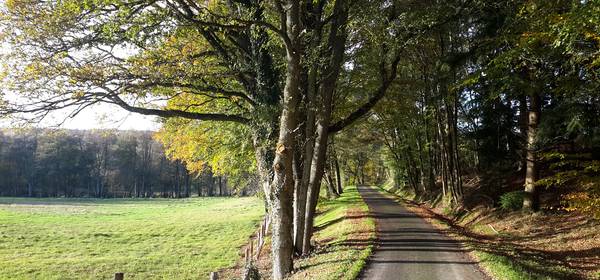 Lettre info Parc - novembre 2017