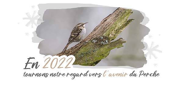 Bonne année 2022 dans le Perche !