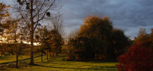 Lettre info Parc - octobre 2021