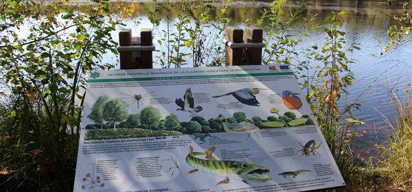 Lettre info Parc - juillet 2020