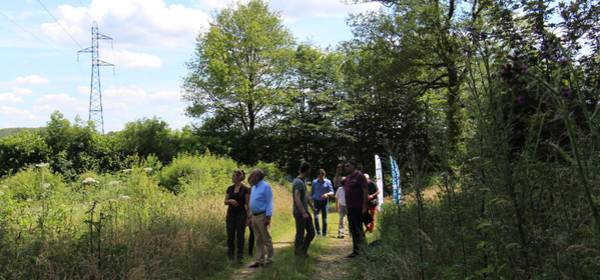 Lettre info Parc - juillet 2018