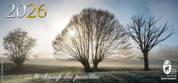 Lettre info Parc # Hiver 2025
