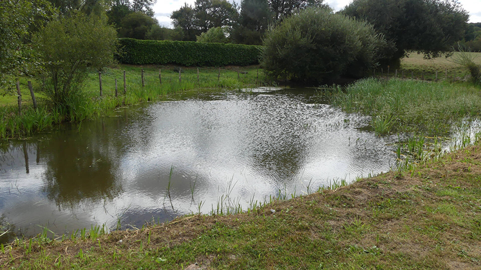Après les travaux, la mare est remise en eau (avril 2020) | © PNRP