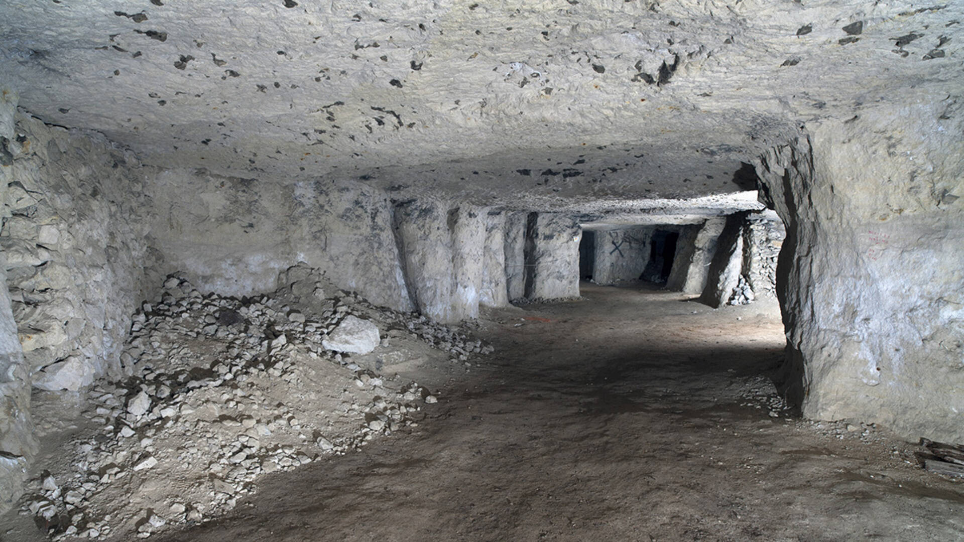 La carrière de la Mansonnière s'étend sur 1,5 hectare à Bellou-sur-Huinse (© Région Normandie, Inventaire général, P. Merret)