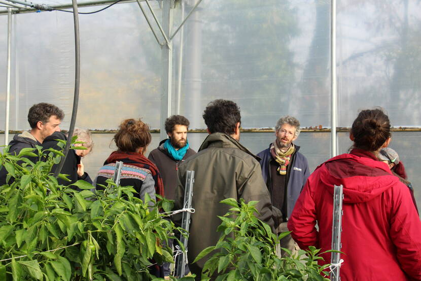 L’après-midi, une visite aux Jardins de la Rue, ferme maraîchère située à Bretoncelles, est venue clore cette journée. Une occasion de rencontrer d’anciens porteurs de projet passés par l’Espace-Test Agricole du Perche.